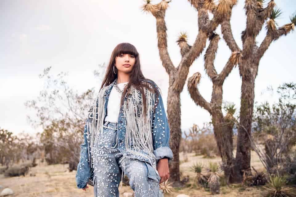 denim pants, joshua trees